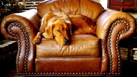 I got the best deals of my LIFE on Craigslist by using these tips! Budget Decor, Furniture, Apartment, Thriftstore, College, DIY