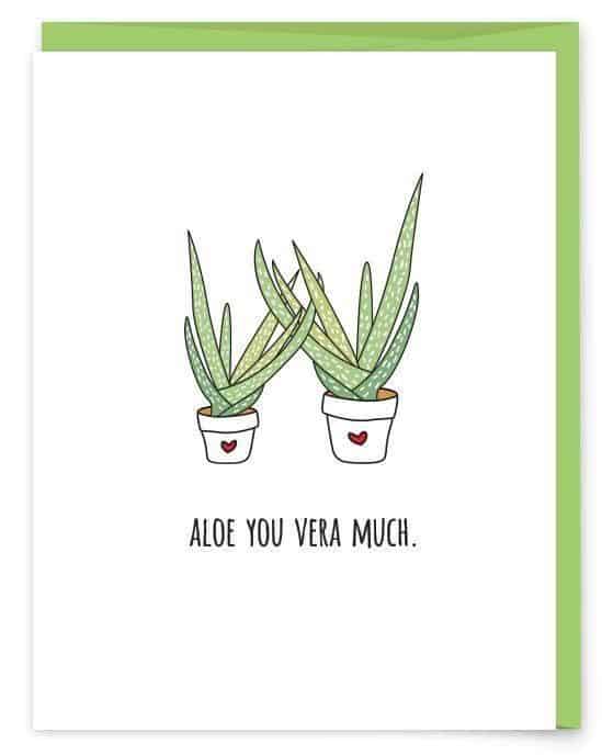 Aloe Vera pun/ DIY boyfriend gifts