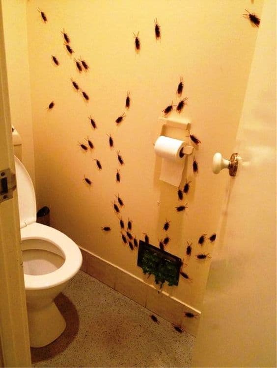 The best Halloween Bathroom Decorations with fake roaches