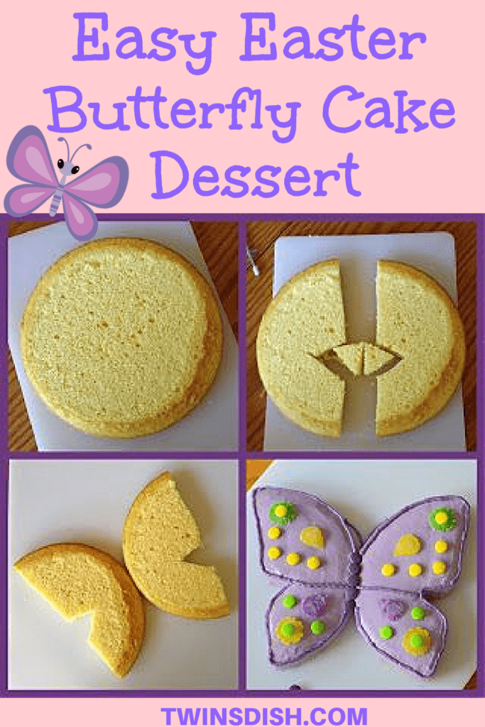 Easy DIY Easter Butterfly shaped cakeCake