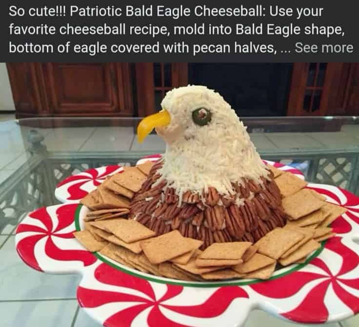 4th of July  Food Bald Eagle Cheese ball with crackers for party