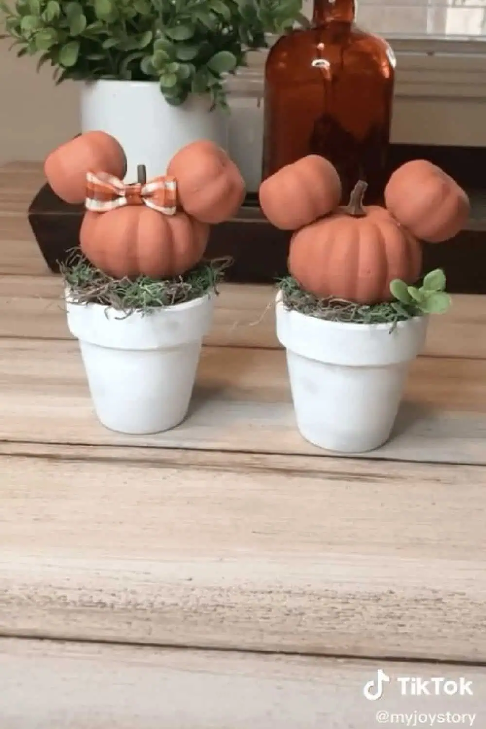 Diy Disney clay pot topiaries fall crafts from dollar tree