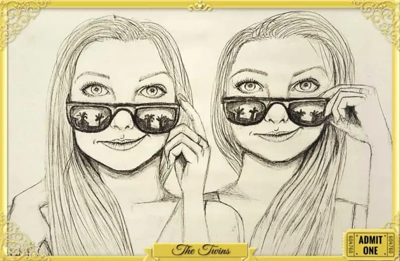 About The Twins Twins Dish