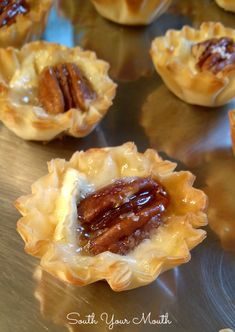 Easy Salted Pecan Brie tartlets Appetizer for a Party or Holiday Dinner