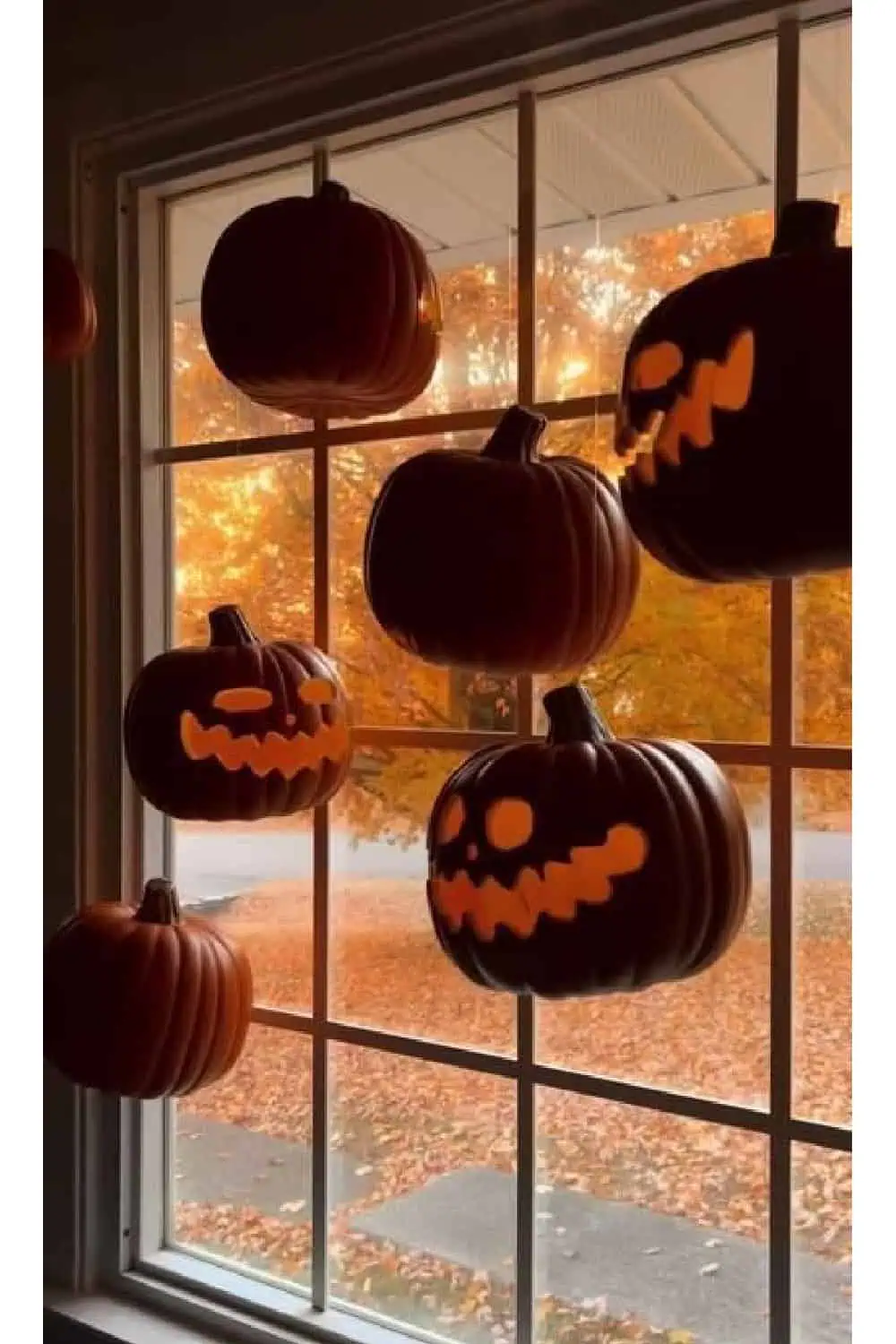 DIY Halloween Decorations Dollar Store Pumpkins for home window