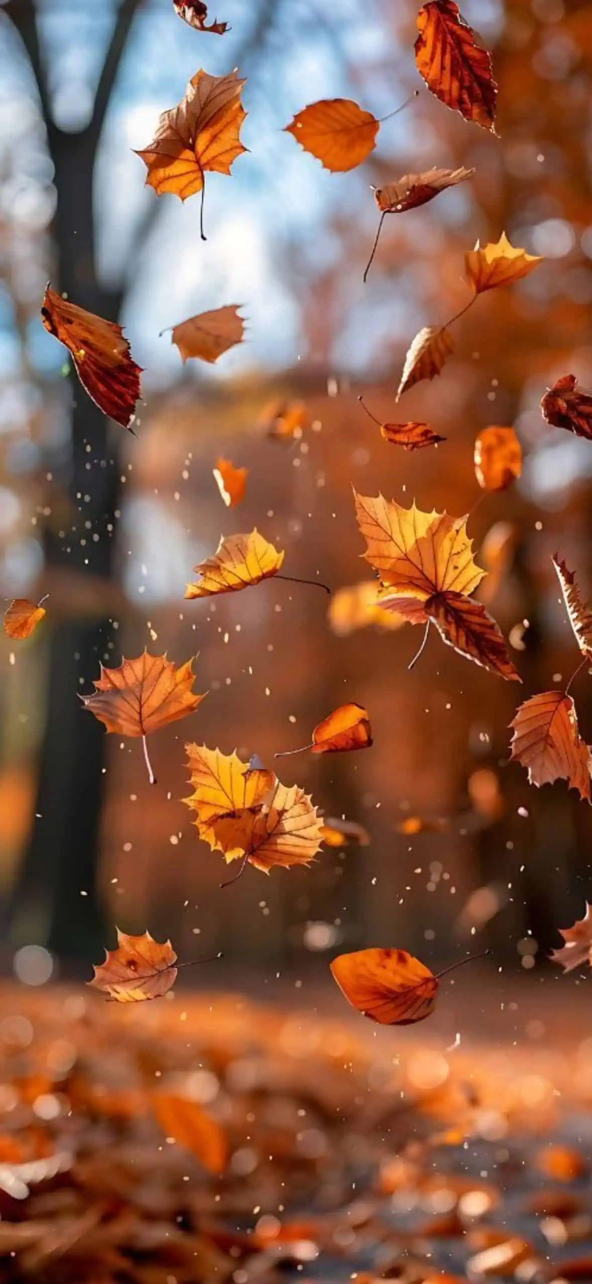 Aesthetic fall leaves wallpaper with orange autumn leaves falling against a blurred background. Cozy autumn aesthetic iPhone background or lock screen.