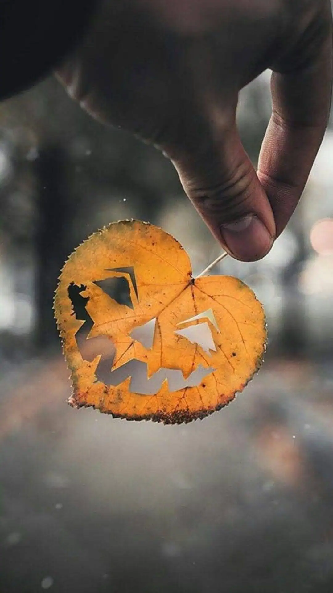 Halloween iPhone wallpaper featuring a close-up of a carved autumn leaf with a jack-o’-lantern face design. Minimalist and spooky Halloween aesthetic background.