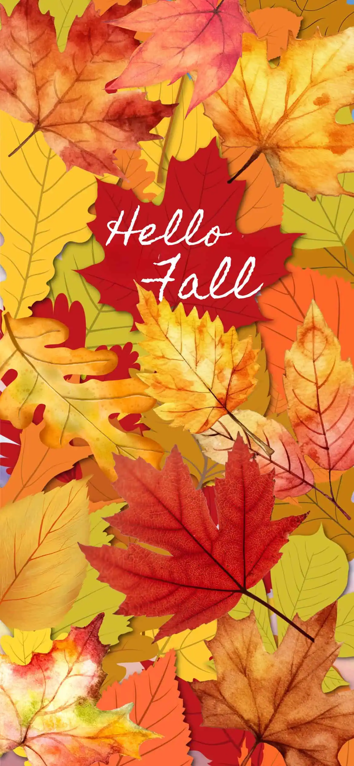 Autumn leaves fall wallpaper for iPhone with colorful red, orange, and yellow leaves and the text “Hello Fall” in the center.