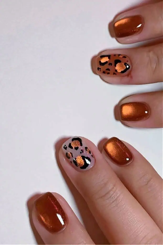 Short square nails painted in burnt orange with accent nails featuring metallic cheetah print design. Trendy fall nail idea with shimmer polish and animal print accents.