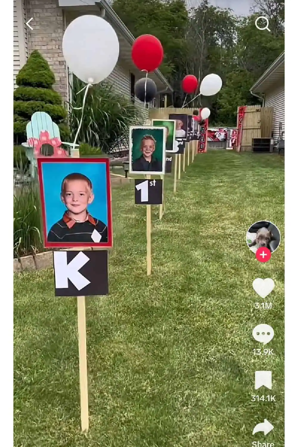 Graduation Party Photo Decorations for Boys Trip Down Memory Lane Backyard