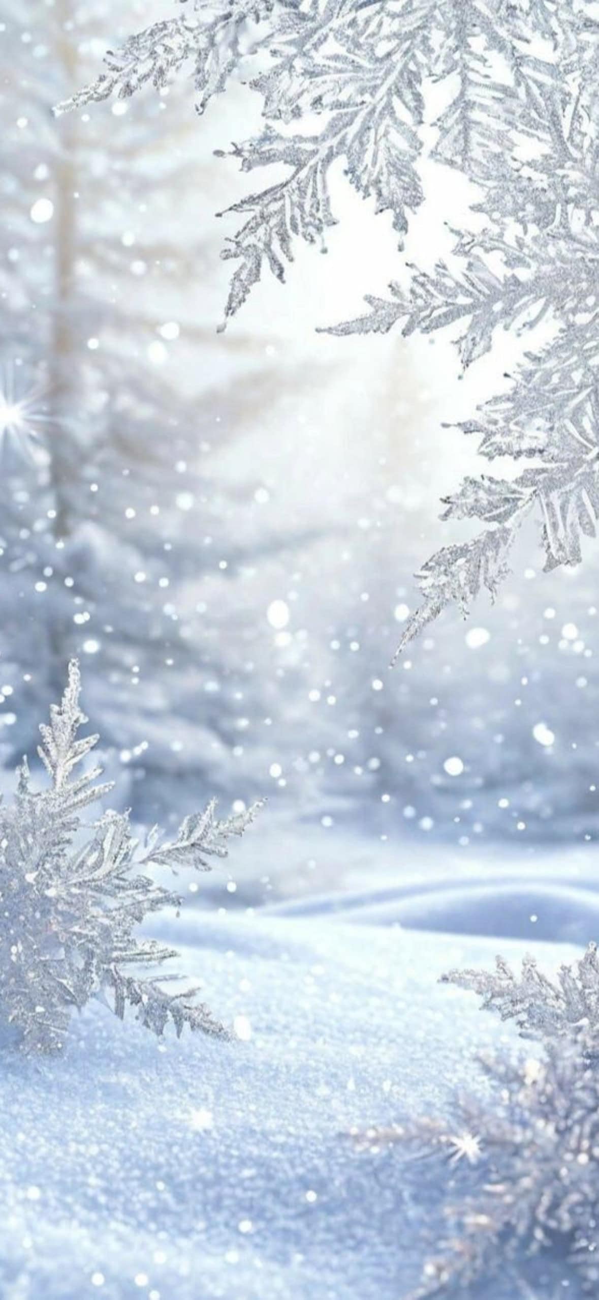 Soft winter snow scene with frosted tree branches, falling snowflakes, and a snowy forest background