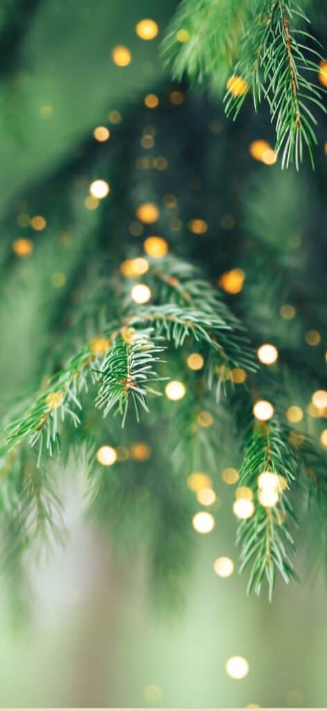 Christmas tree wallpaper with green pine branches and soft golden holiday lights, perfect festive iPhone background.