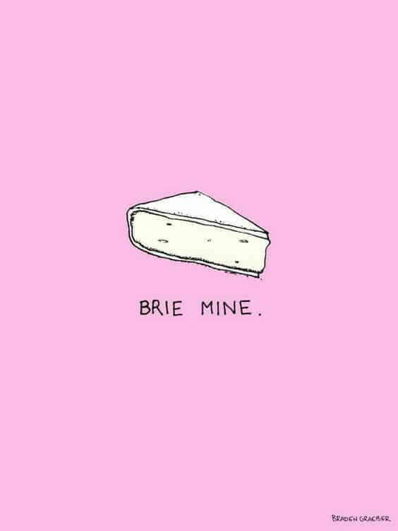 Brie Mine Gift Pun for an easy, clever, last minute DIY gift idea for him. DIY boyfriend gifts.