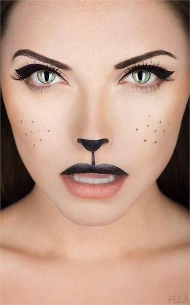 Cat Halloween Make Up Costume