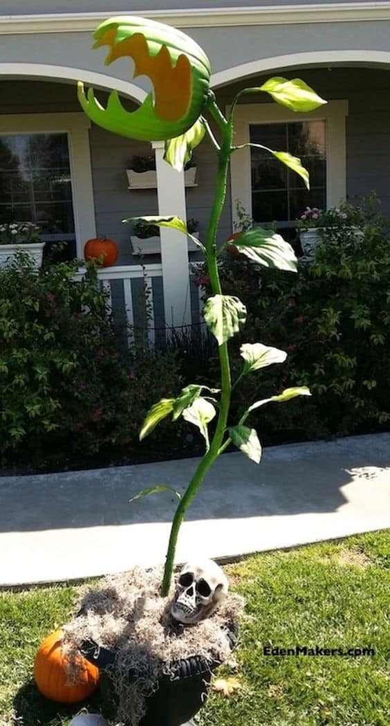 DIY Man Easting Plant Halloween Decoration