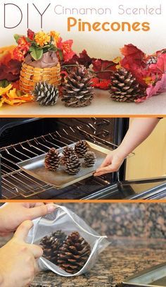 DIY Scented Pinecones/ Easy Christmas Decor Ideas