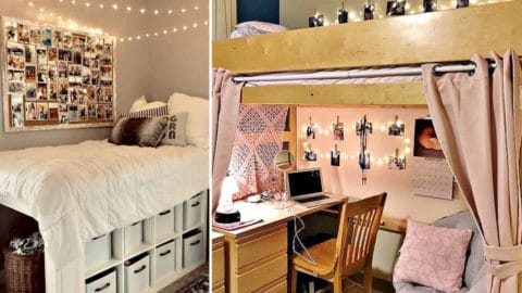Dorm room tips on what not to do. #College #CollegeDorm #Dorm #Dormroom