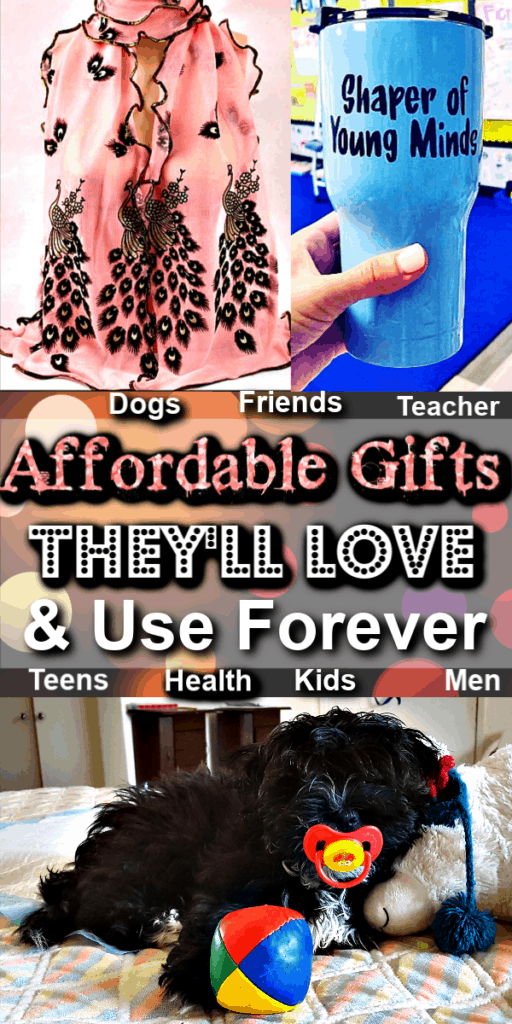 The Ultimate List of Gift Ideas For Every Budget They'll Love and Use Forever / Teachers gifts / Boyfriend Gifts / Christmas Gifts / Budget / DIY Gifts / Men / Friends / Co workers / Neighbors / Kids / Health Conscious / Beauty Lover / College Students / Father / Mother / Anniversary / Grandparents / Pets / Dogs