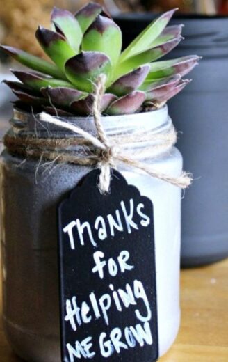 Graduation Party Centerpiece succulent in a jar