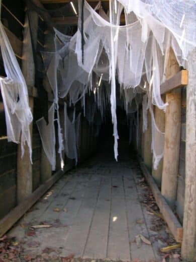 Cheese cloth spider web Halloween decorations for a hallway