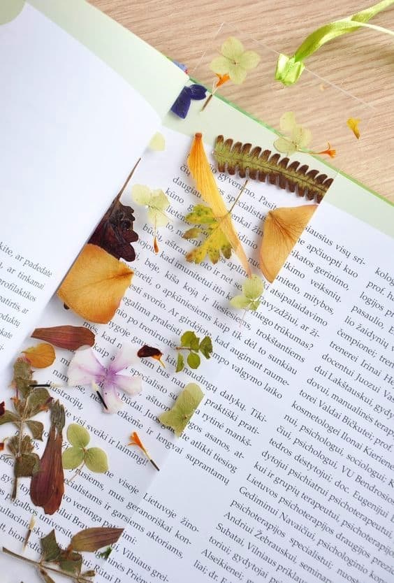 DIY Pressed flower bookmark Kids can help make for Mothers Day. A great gift idea.