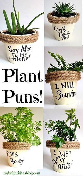 Easy DIY Plant Pun Sharpie Flower Pot Mothers Day craft kids can make. A great last minute rustic gift idea you an do in 15 minutes for Mom's, GrandMother, or Grauntie. On a budget idea.