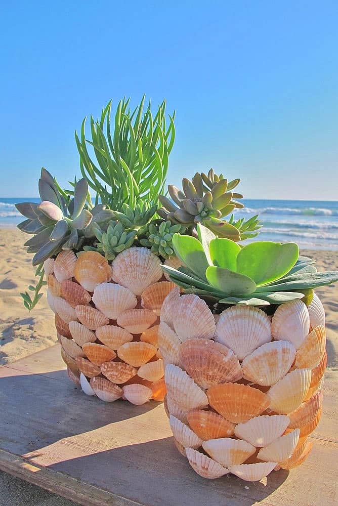 Easy DIY Seashell Flower Pot Mothers Day crafts kids can make. A great Summer gift idea you an do for Mom's, GrandMother, or Grauntie on a budget.