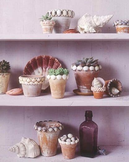 Easy DIY Mother's Day gift Seashell pots craft