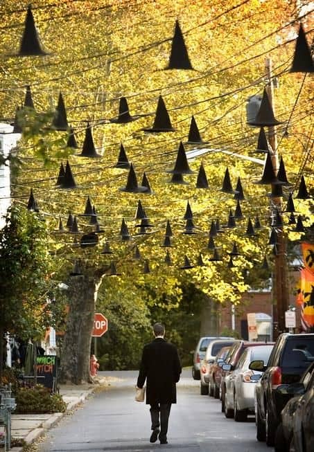 WITCHES HATS HALLOWEEN OUTDOOR DECOR