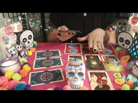 FalconGrl Tarot gives a spooky accurate Free Tarot reading for each birthsign every month on Youtube!