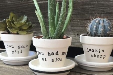 Easy DIY Plant Pun Sharpie Flower Pot Idea Kids can make for Mothers Day. A great last minute gift idea you an do in 15 minutes for Mom's, GrandMother, or Grauntie. On a budget idea.