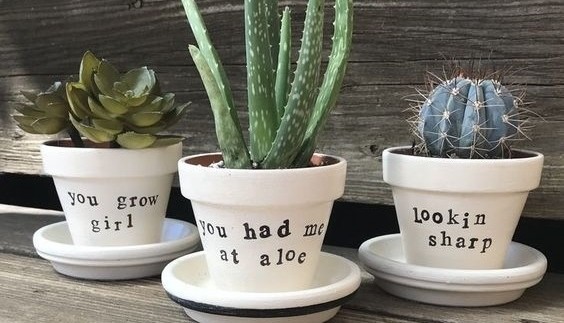 Easy DIY Plant Pun Sharpie Flower Pot Idea Kids can make for Mothers Day. A great last minute gift idea you an do in 15 minutes for Mom's, GrandMother, or Grauntie. On a budget idea.