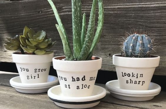 Easy DIY Plant Pun Sharpie Flower Pot Idea Kids can make for Mothers Day. A great last minute gift idea you an do in 15 minutes for Mom's, GrandMother, or Grauntie. On a budget idea.